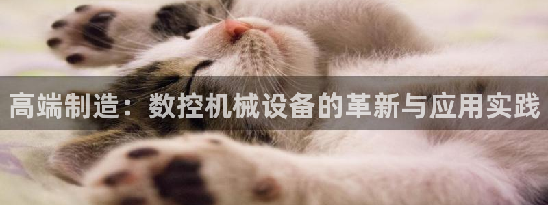天辰娱乐ttf