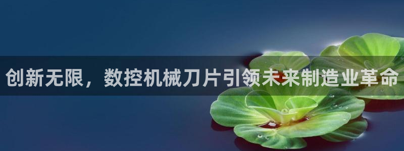 天辰宝娱乐