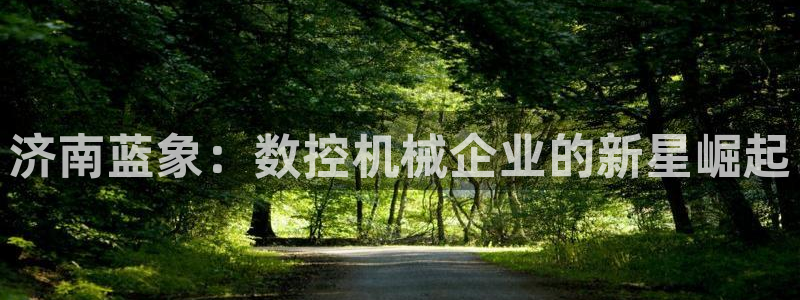天辰国际娱乐