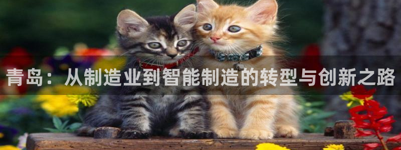 天辰娱乐挂机