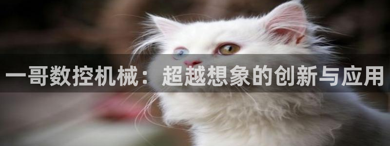天辰娱乐53551