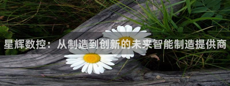 天辰娱乐待遇