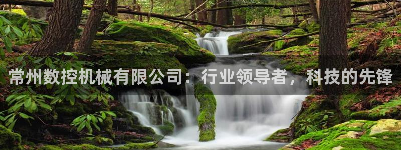 大同天辰娱乐