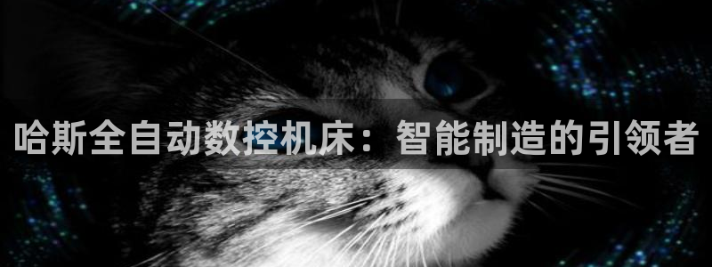 天辰娱乐557696