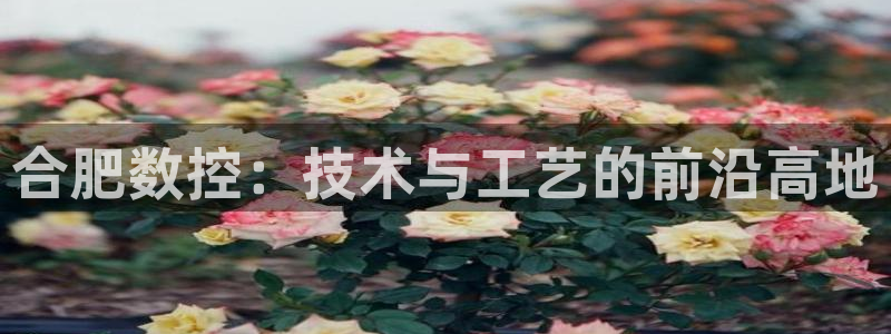 天辰娱乐赌博