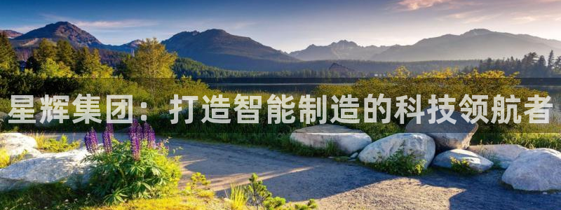 天辰娱乐平台登录账号