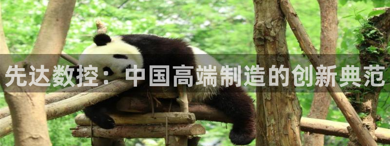 天辰娱乐赌博：先达数控：中国高端制造的创新典范