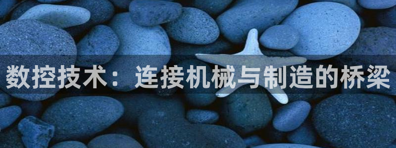 天辰娱乐平台地址在哪里