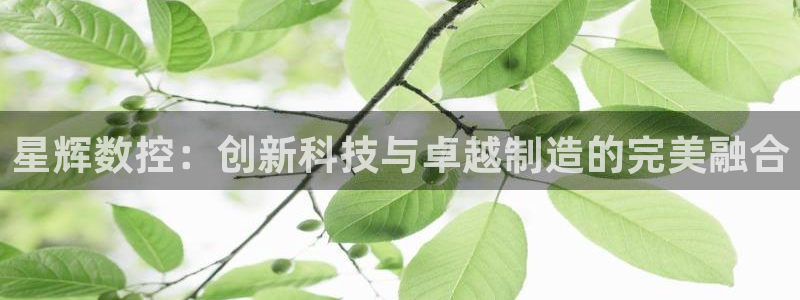 天辰娱乐61116