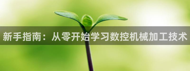 天辰娱乐鱼刺