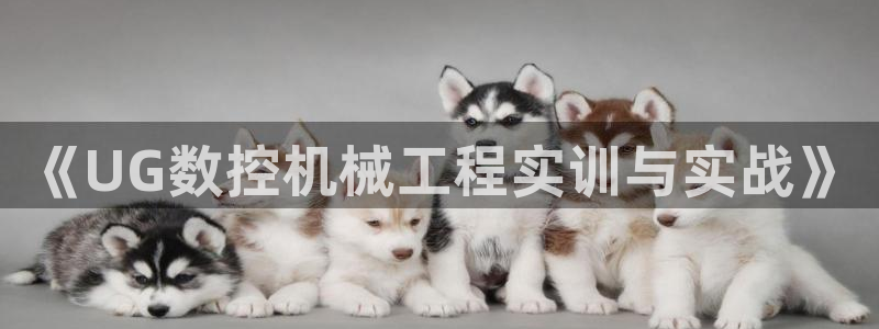 天辰娱乐娱乐
