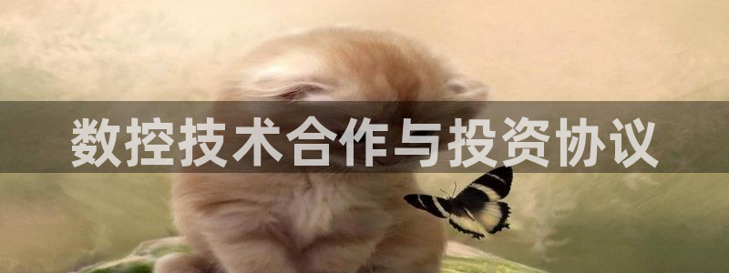 天辰 娱乐 注册：数控技术合作与投资协议