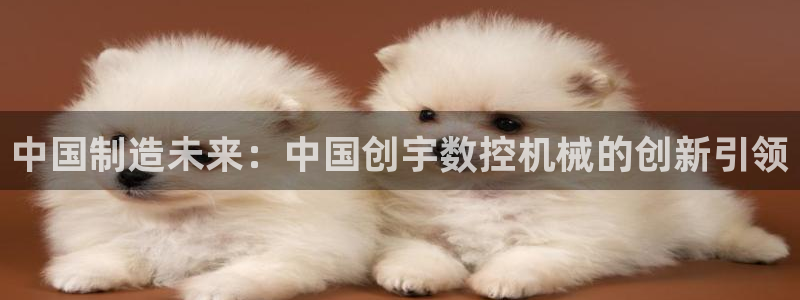 天辰娱乐扣钱：中国制造未来：中国创宇数控机械的创新引领