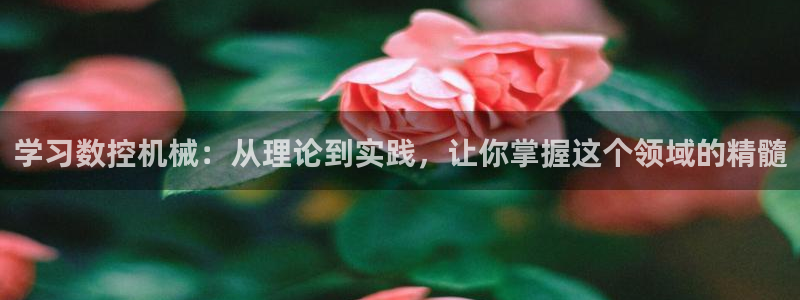 天辰娱乐_ 18113：学习数控机械：从理论到实践，让你掌握这个领域的精髓
