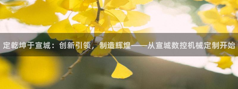 天辰娱乐登录网址:定乾坤于宣城:创新引领,制造辉煌——从宣城数控机械定制开始