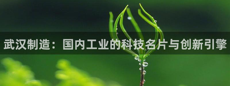 天辰娱乐APP下载