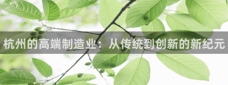 天辰娱乐小姐