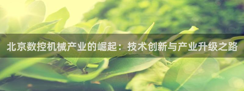 天辰娱乐说