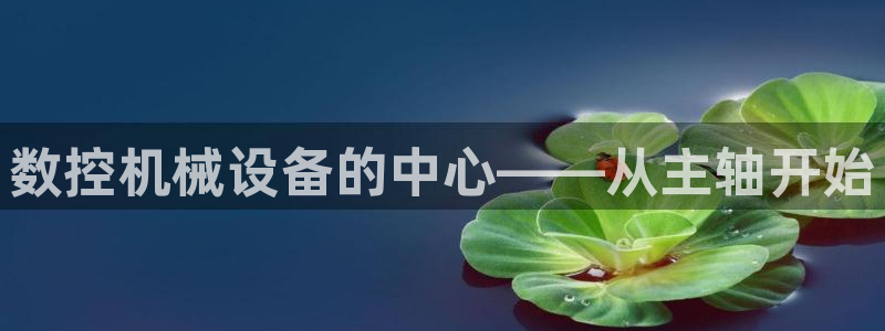 天辰娱乐_675138